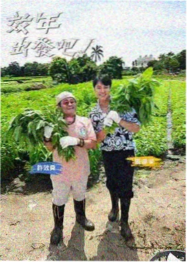 深夜开麦脱口秀封面